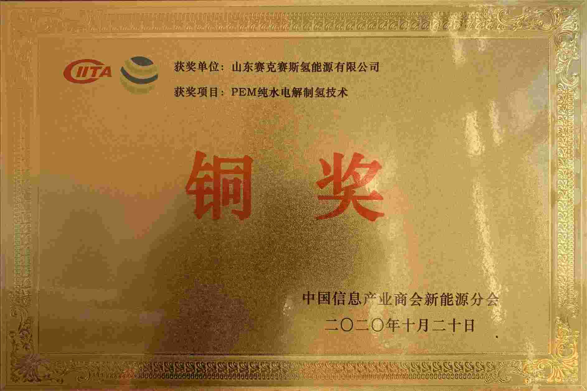 15PEM纯水电解制氢技术铜奖(2).jpg